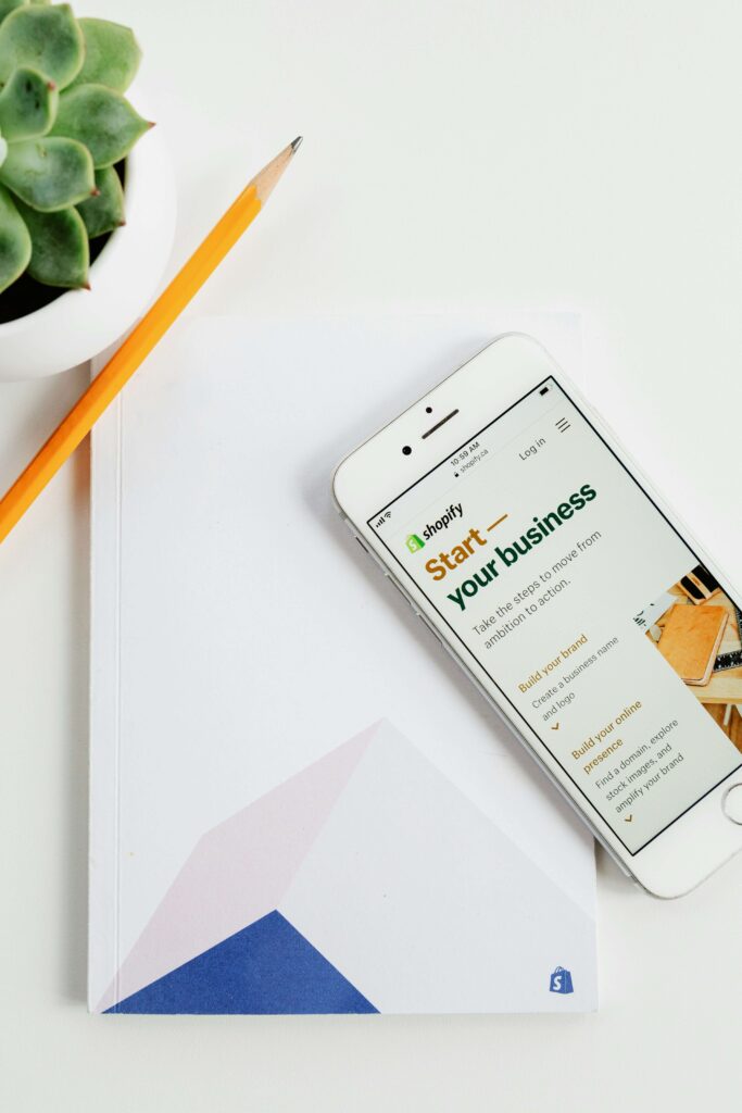 Seb consulting ecommerce